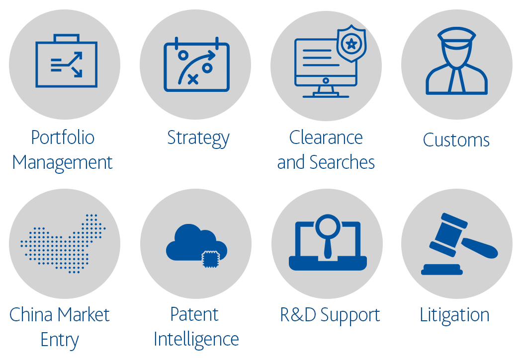 8 icons, one of Portfolio Management, one of Strategy, one of Clearance and Searches, one of Customs, one of China Market Entry, one of Patent Intelligence, one of R&D Support, and one of Litigation